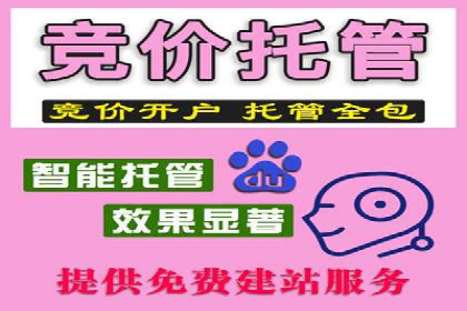 百度SEM代运营案例详解：广告策略与执行